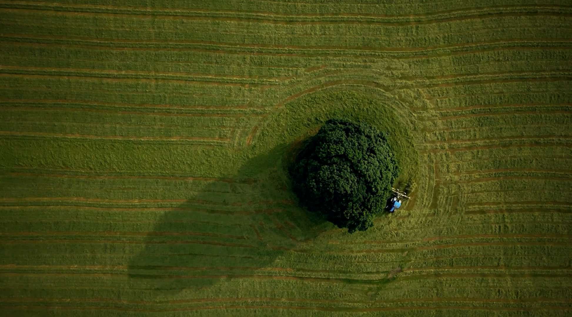 Aerial drone filming in London by Onemarsmedia: golf courses, estates, venues and property